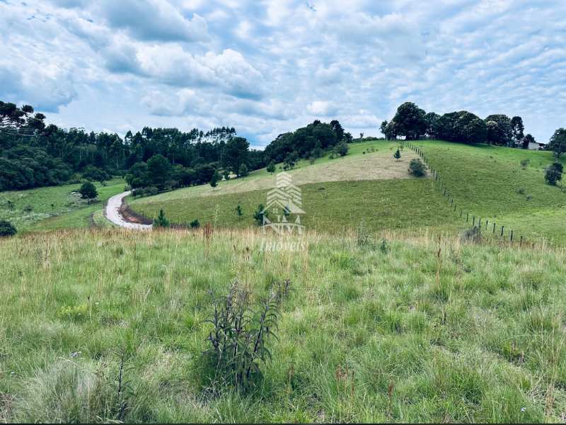 Área rural à venda em Piraquara com 20.000m² – Colônia Santa Maria (Nova Tirol)
