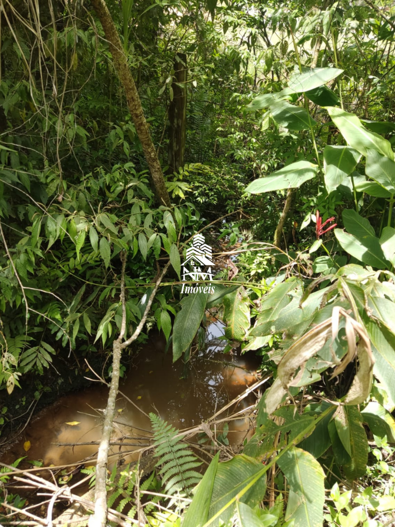 Chácara à venda em Campo Magro – Região Hervalzinho