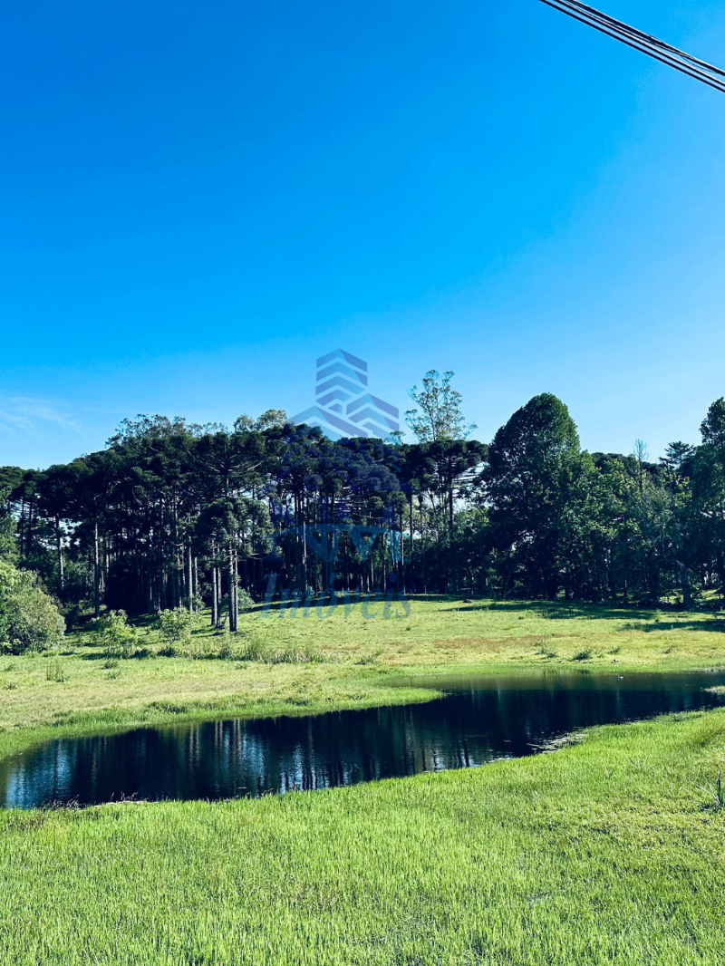 Área à venda em Piraquara – Excelente oportunidade para investidores