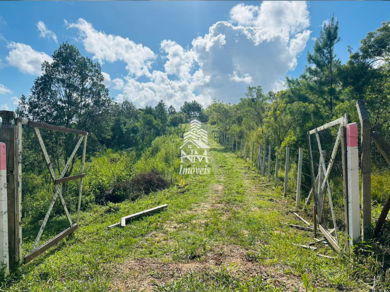 Excelente chácara em São José dos Pinhais – Região do Curralinho com 17.000m²