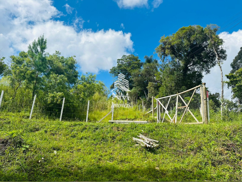 Excelente chácara em São José dos Pinhais – Região do Curralinho com 17.000m²