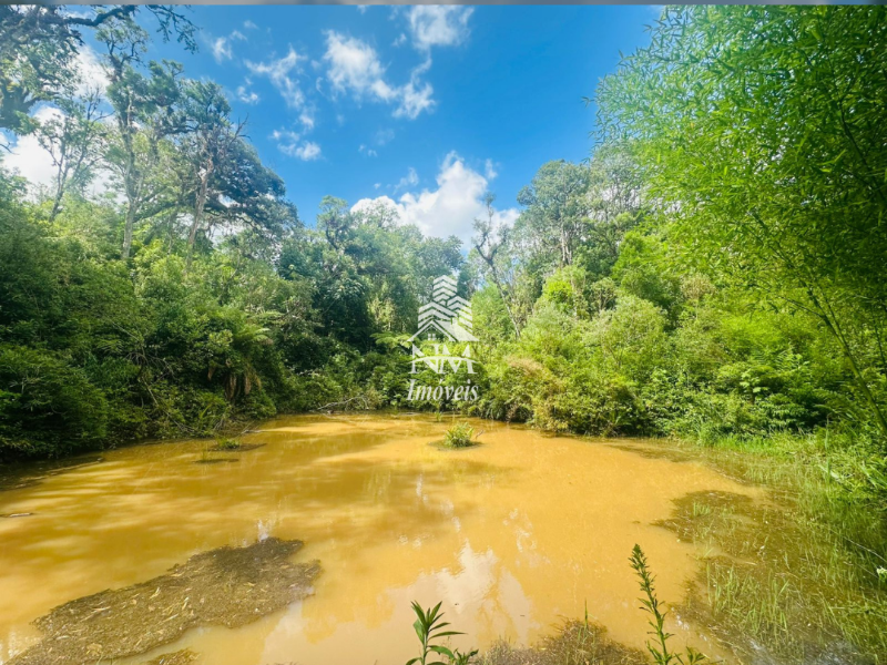 Excelente chácara em São José dos Pinhais – Região do Curralinho com 17.000m²