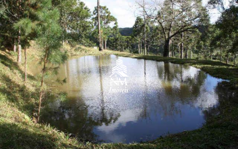 Chácara de alto padrão à venda em Campina Grande do Sul com 89.000 m² (3,67 alqueires)