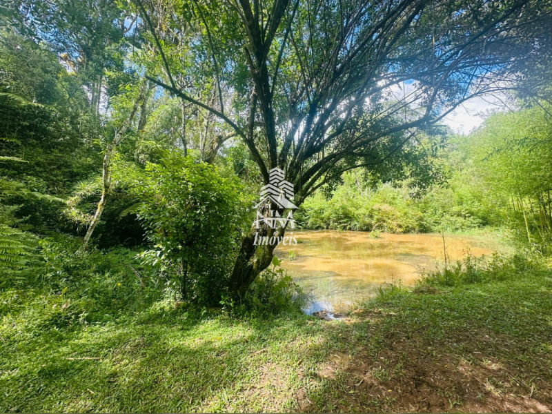 Excelente chácara em São José dos Pinhais – Região do Curralinho com 17.000m²