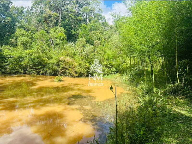 Excelente chácara em São José dos Pinhais – Região do Curralinho com 17.000m²