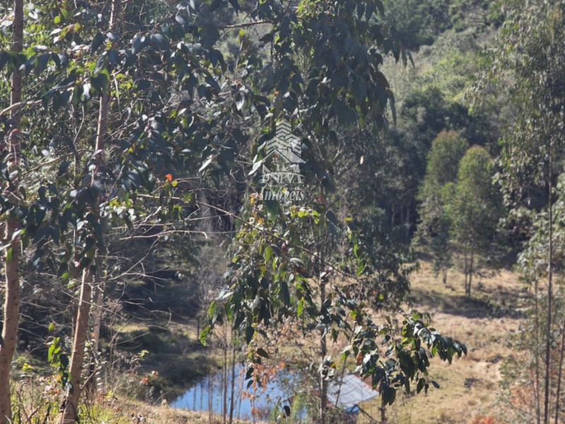 Chácara à venda em Campina Grande do Sul com 37.000 m²