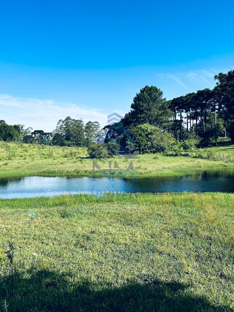 Área à venda em Piraquara – Excelente oportunidade para investidores