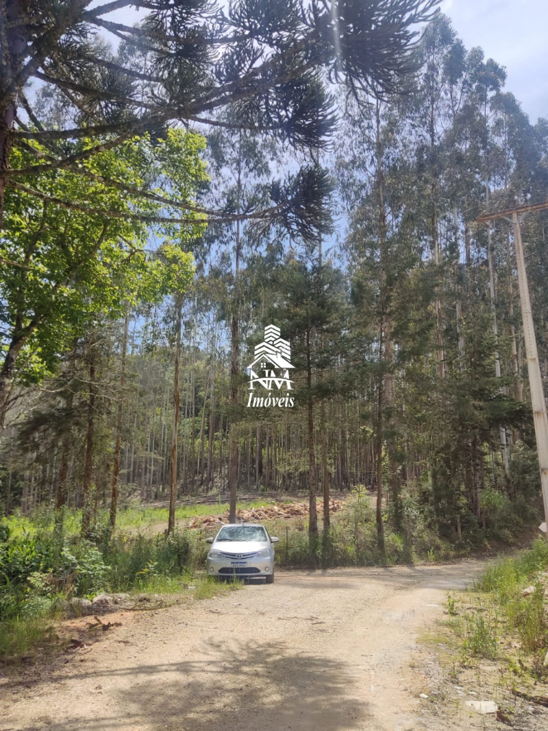 Chácara à venda em Campo Magro – Região Hervalzinho