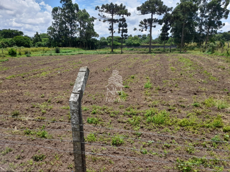 Oportunidade de negócio | Chácara urbana com 3.000M² em Piraquara