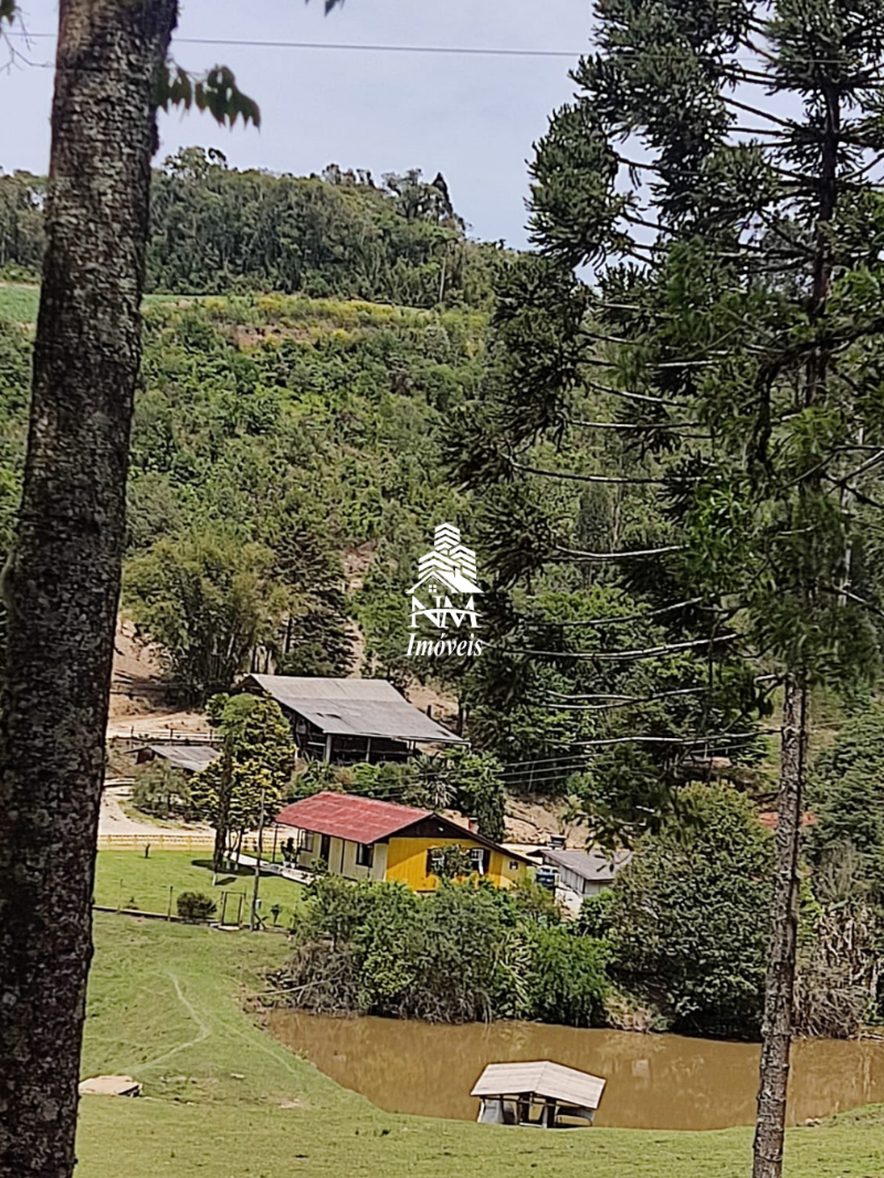 Chácara à venda em Campo Magro – Região Hervalzinho