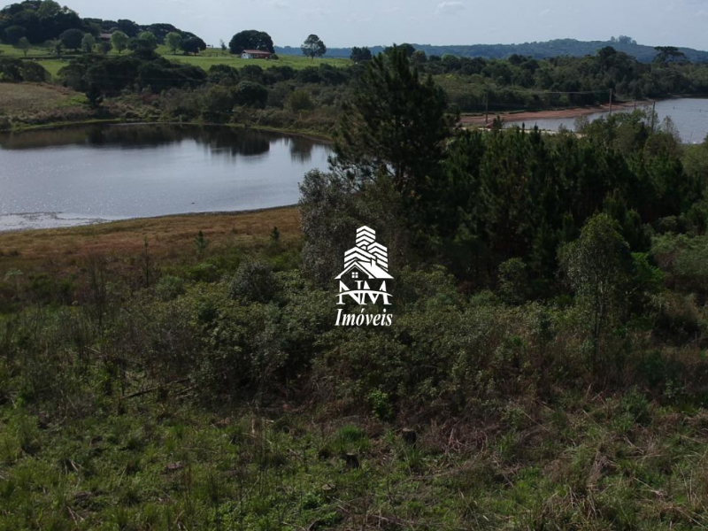 Área para chácara com 5.000m² à venda em São José dos Pinhais – Região da Borda do Campo
