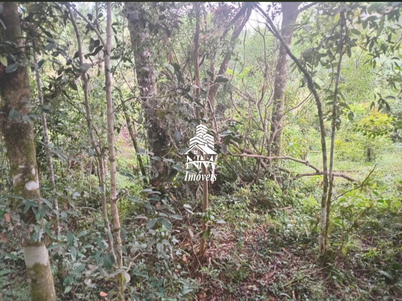 Área de chácara à venda em São José dos Pinhais – Região Borda do Campo