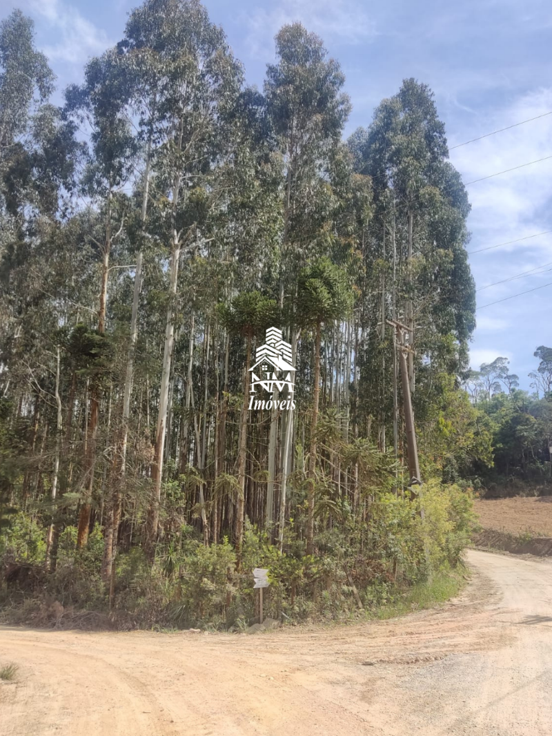 Chácara à venda em Campo Magro – Região Hervalzinho