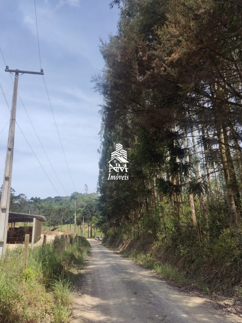 Chácara à venda em Campo Magro – Região Hervalzinho