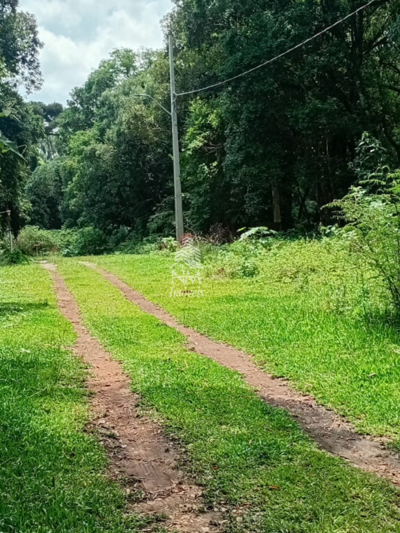 Chácara urbana à venda em São José dos Pinhais – Borda do Campo