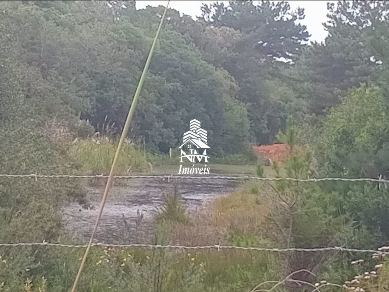Área de chácara à venda em São José dos Pinhais – Região Borda do Campo