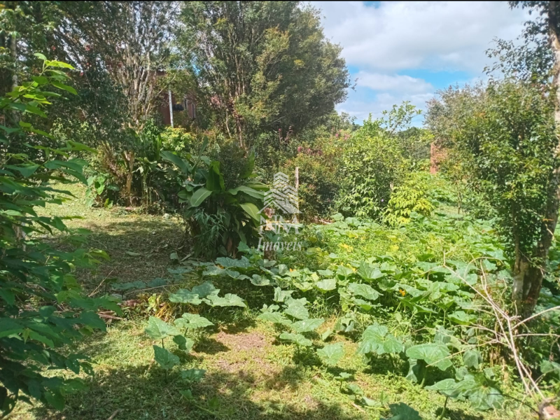 Chácara de alto padrão à venda em São José dos Pinhais com 36.000m² – Borda do Campo