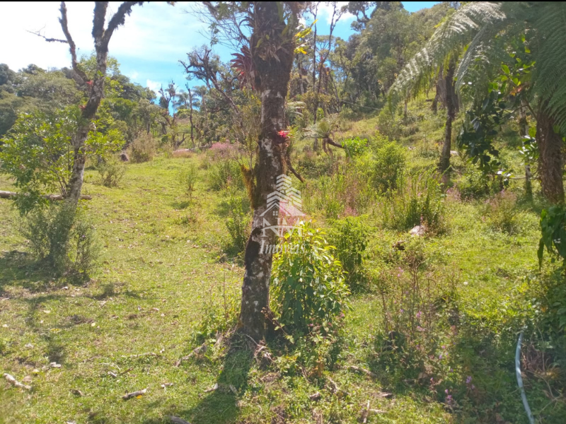 Chácara de alto padrão à venda em São José dos Pinhais com 36.000m² – Borda do Campo