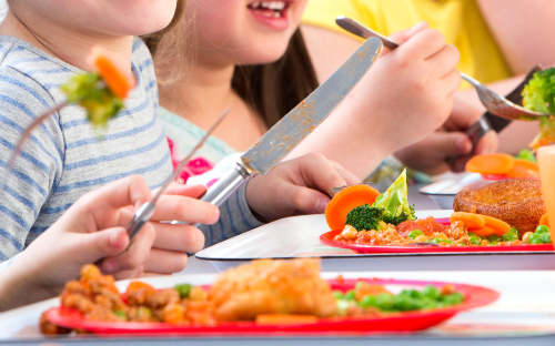 ALIMENTAÇÃO SAUDÁVEL