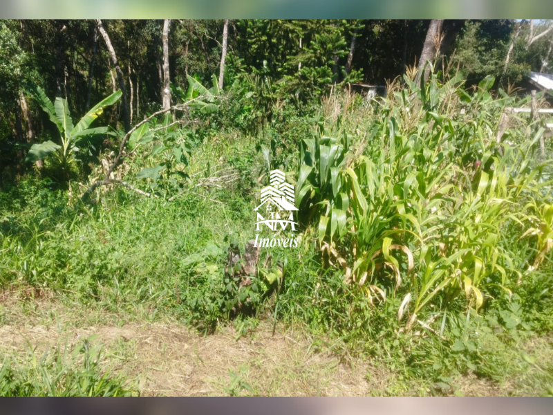 Chácara urbana com 3.700m² em condomínio à venda em Piraquara – Próximo ao Centro