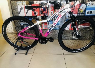 Bicicleta aro 29 absolute