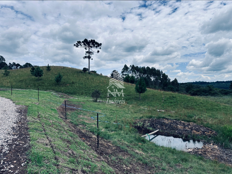 Área rural à venda em Piraquara com 20.000m² – Colônia Santa Maria (Nova Tirol)