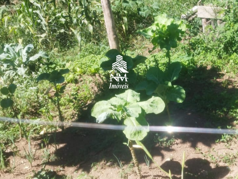 Chácara urbana com 3.700m² em condomínio à venda em Piraquara – Próximo ao Centro