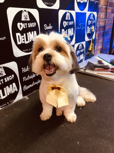 Tosa na máquina com detalhes (cabeça & Rabo)a partir