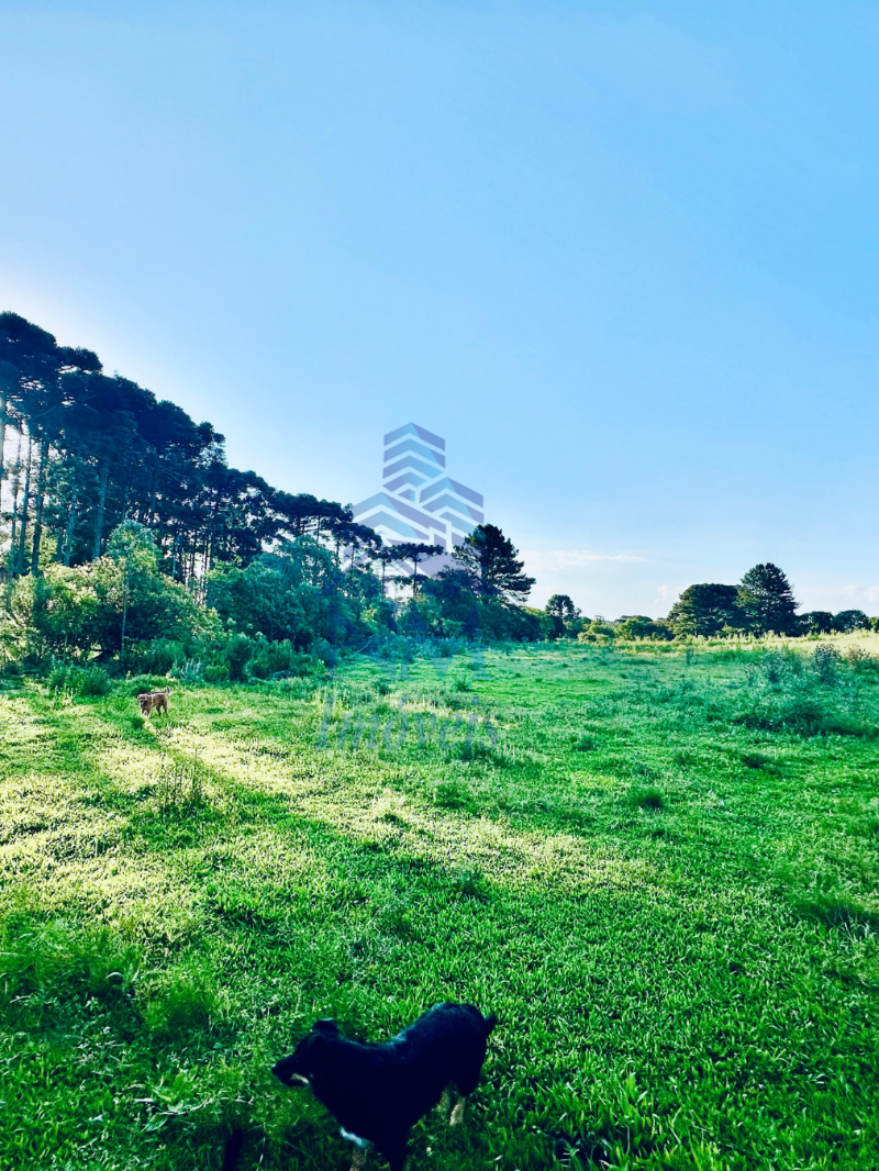 Área à venda em Piraquara – Excelente oportunidade para investidores