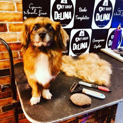 Remoção de sub pelos e pelos mortos