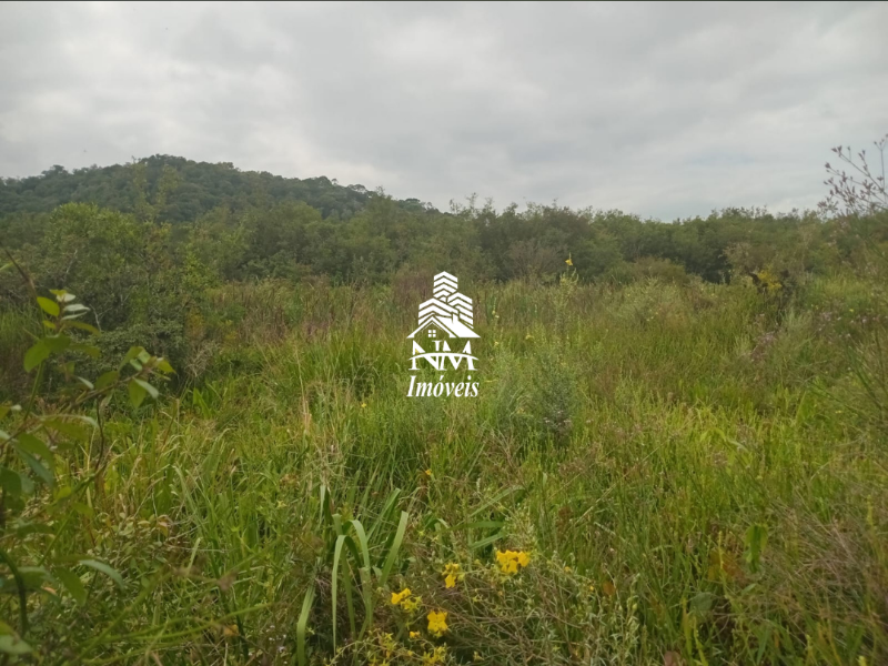 Área de chácara à venda em São José dos Pinhais – Região Borda do Campo