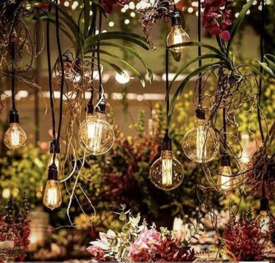Varal de luz e lâmpadas de filamento