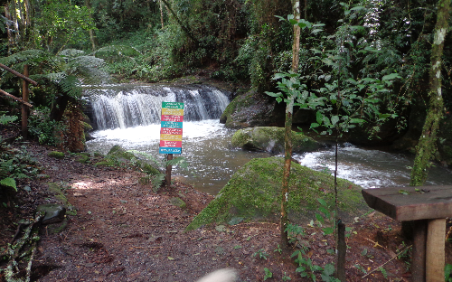 ( 17 ) PASSEIO ECOLÓGICO DE BIKE ARO 29