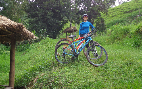 ( 17 ) PASSEIO ECOLÓGICO DE BIKE ARO 29