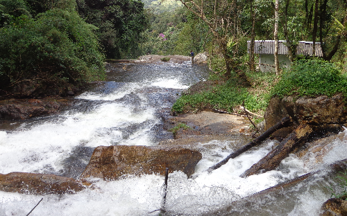 ( 24 ) CACHOEIRA 5 ESTRELA