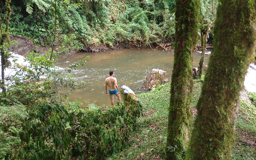 ( 24 ) CACHOEIRA 5 ESTRELA