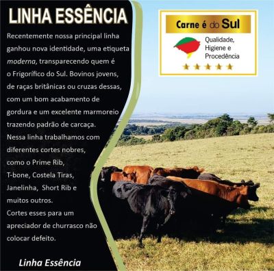 Linha essência