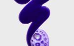 SHAMPOO VIOLETA DESAMARELADOR DOHA