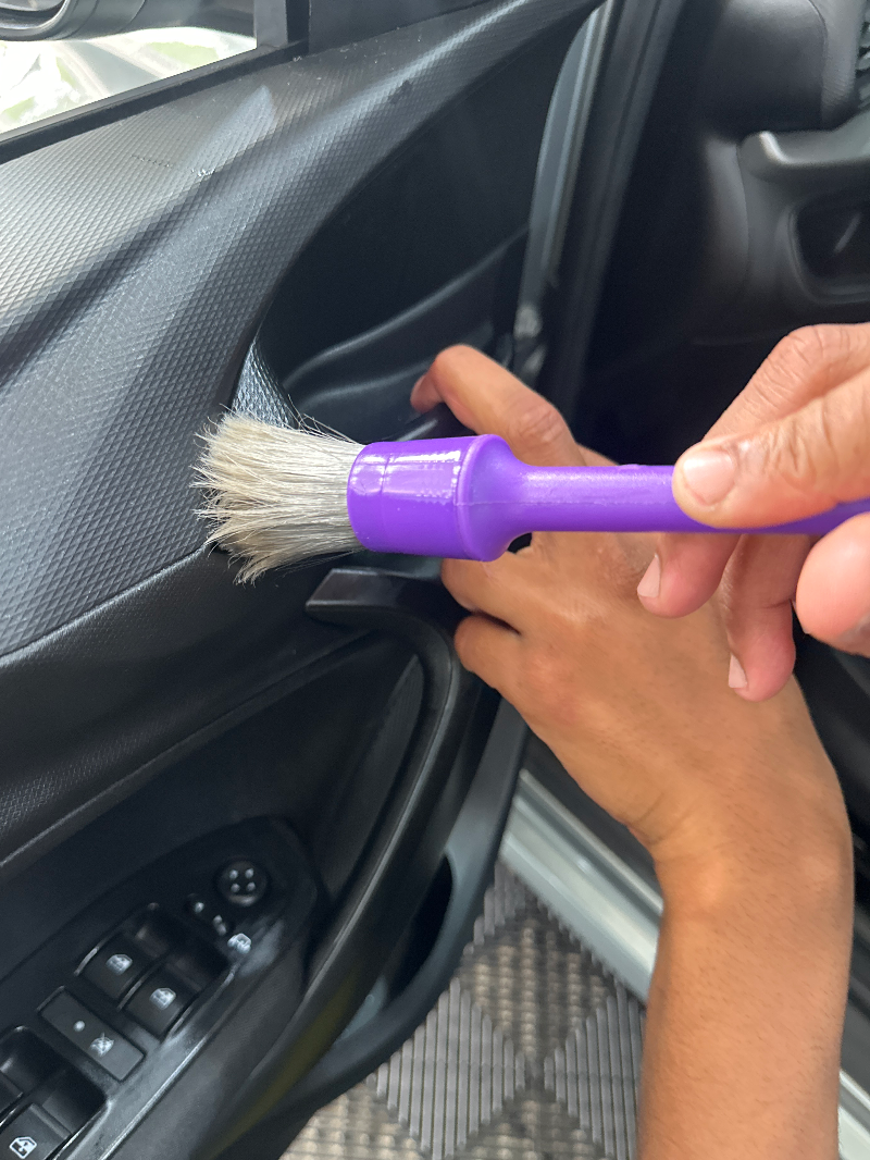 PINCEL ZACS PARTE INTERNA