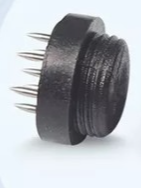 TRATAMENTO PARA QUEDA DE CABELO E AUMENTAR IMUNIDADE