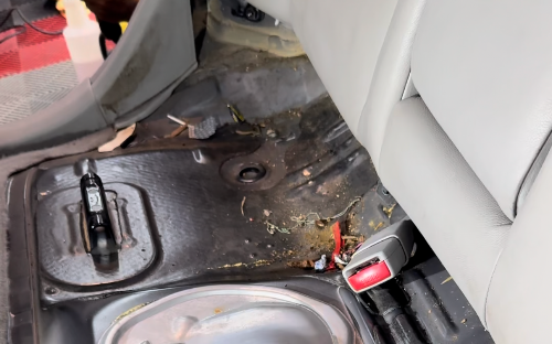 Higienização interna completa com desmontagem de bancos