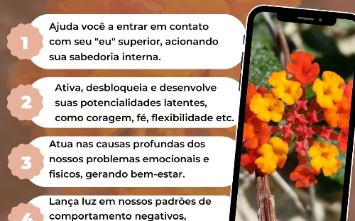 Combo Cristaloterapia +Florais