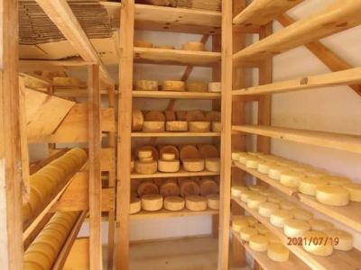 ( 9 )ROTA DO QUEIJO