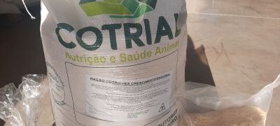 Ração crescimento e engorda (aves)