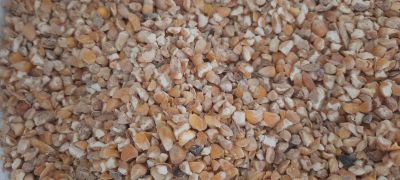 Quirela de Milho grossa