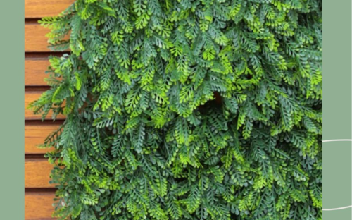 Jardim Vertical