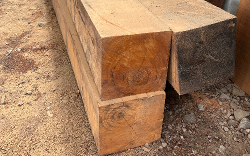 Vigamento Muiracatiara