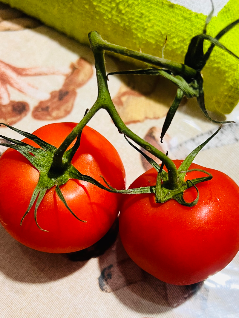 Eventos Gourmet Essência Holística