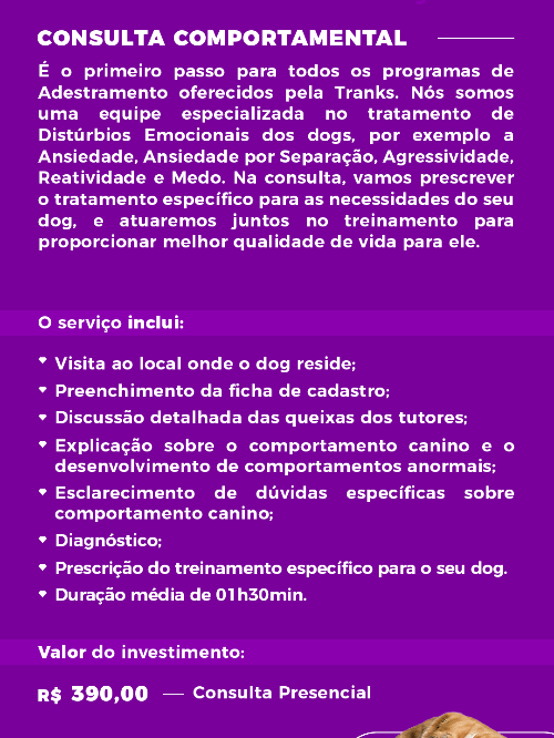 Consulta