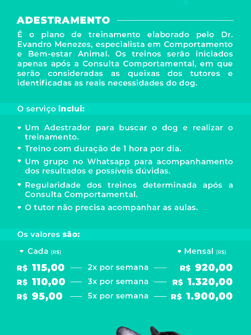 Adestramento